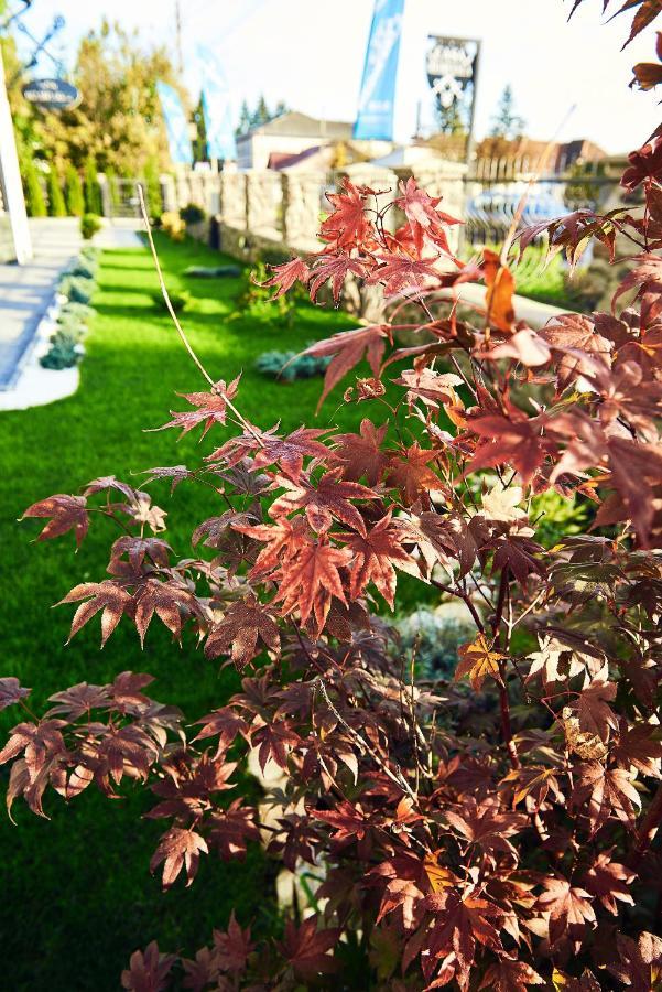 Boutique Hotel Casa Medievala Curtea de Argeş Dış mekan fotoğraf